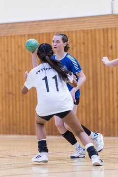 Bild 150 - wBJ TSV Ellerau - SV Fehmarn : Ergebnis: 27:20